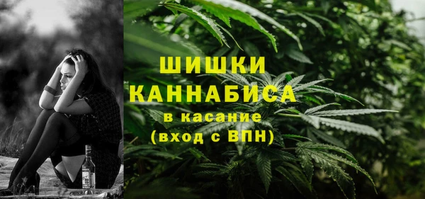 PSILOCYBIN Белоозёрский