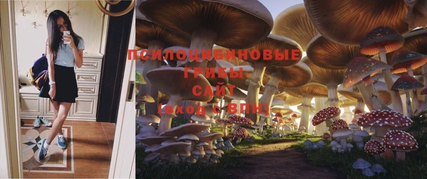 PSILOCYBIN Белоозёрский
